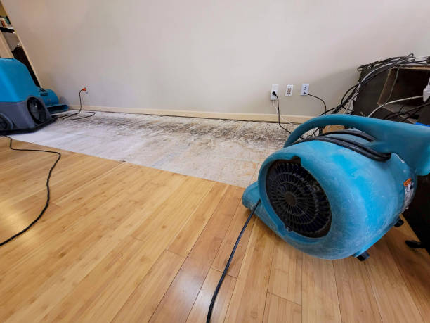 Professional Water Removal technician working in Saint Augustine, FL